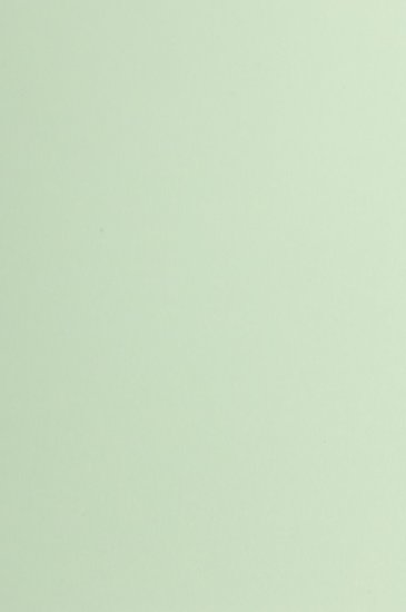 Papier A4 perforiert für Scannerschienen - 25x42mm - grün 80g