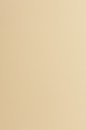 US Letter Papier farbig 90g - sand braun