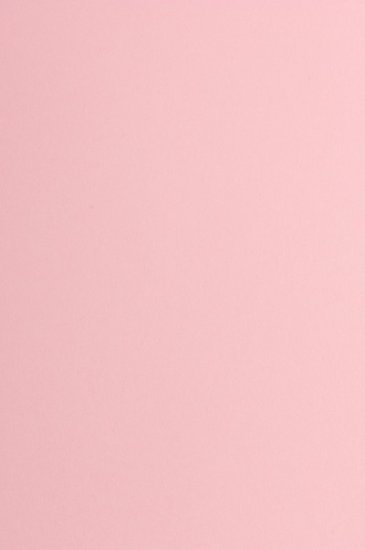 T-Karten für Stecktafeln - 48x93mm - leicht trennbar - rosa 120g