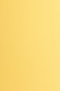 US Letter Papier farbig 170g - alt gold