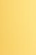US Letter Papier farbig 250g - alt gold