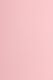 Buttons leicht trennbar - Ø 66,7mm - rosa 80g