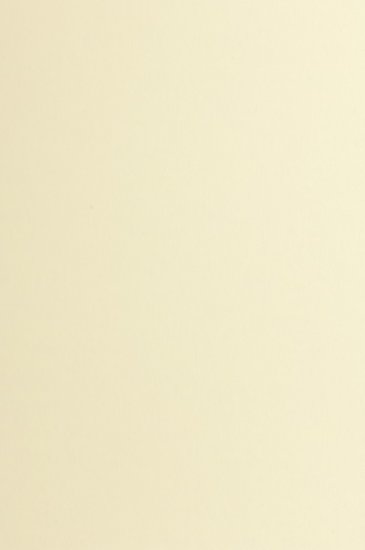 Papier perforiert - A4 - 60 Etiketten á 50x19mm - gelb 120g