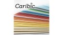 Sonderangebot Farbiges Papier Caribic - FSC® - 250g -...