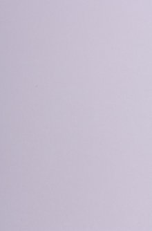 lavendel